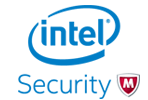 inel-security